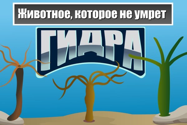 Что такое кракен наркотик