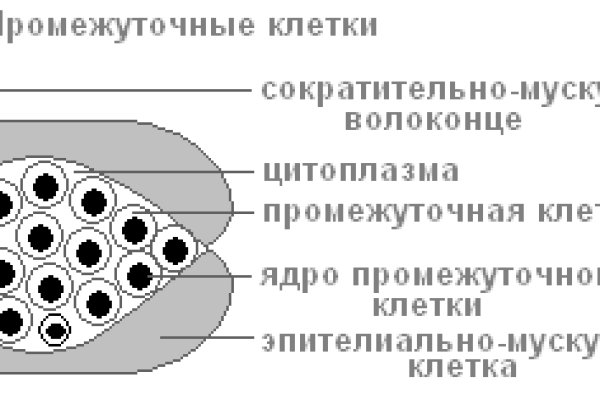 Как зайти на кракен с айфона