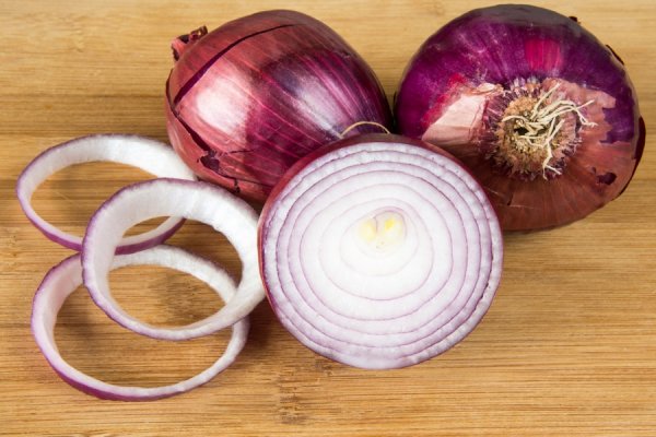 Megaruzxpnew4af onion torrent magnet